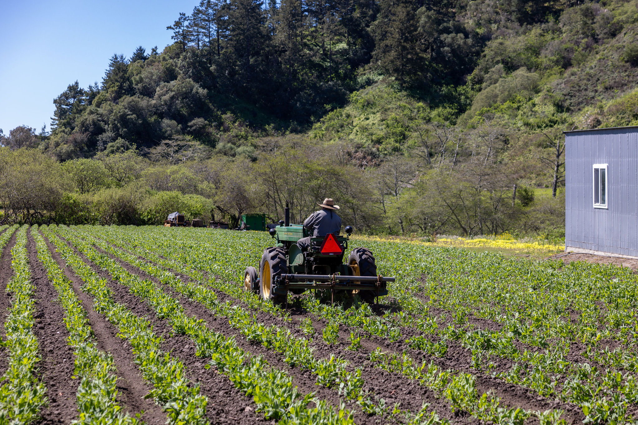 placeholder image-sq