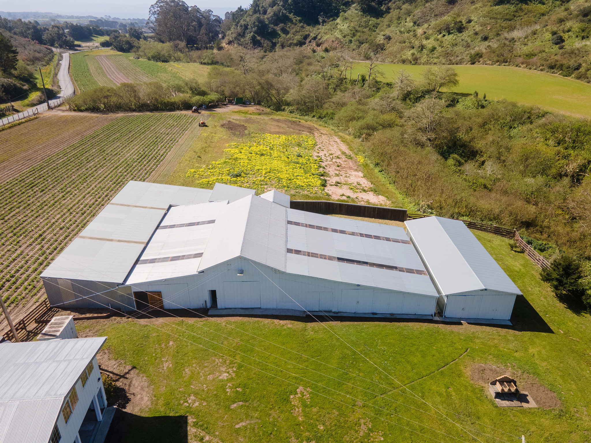 placeholder image-sq